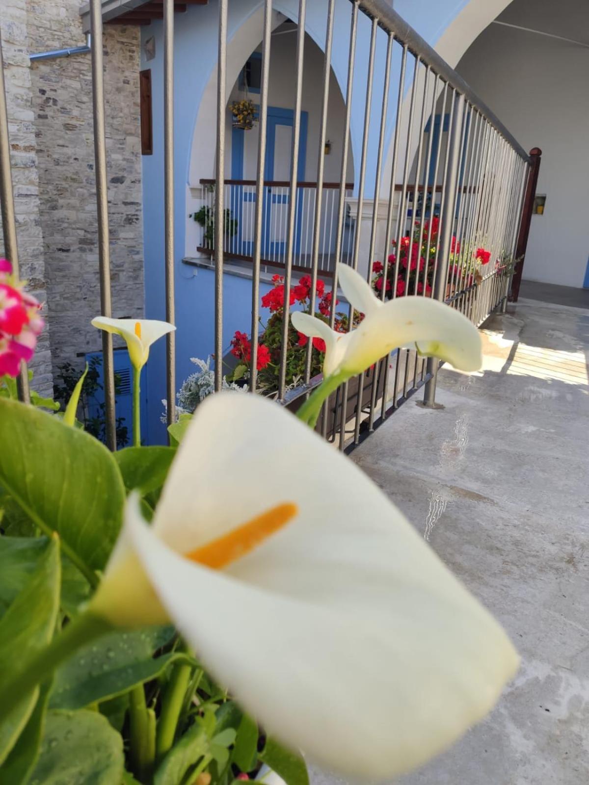 7kamares Pano Lefkara