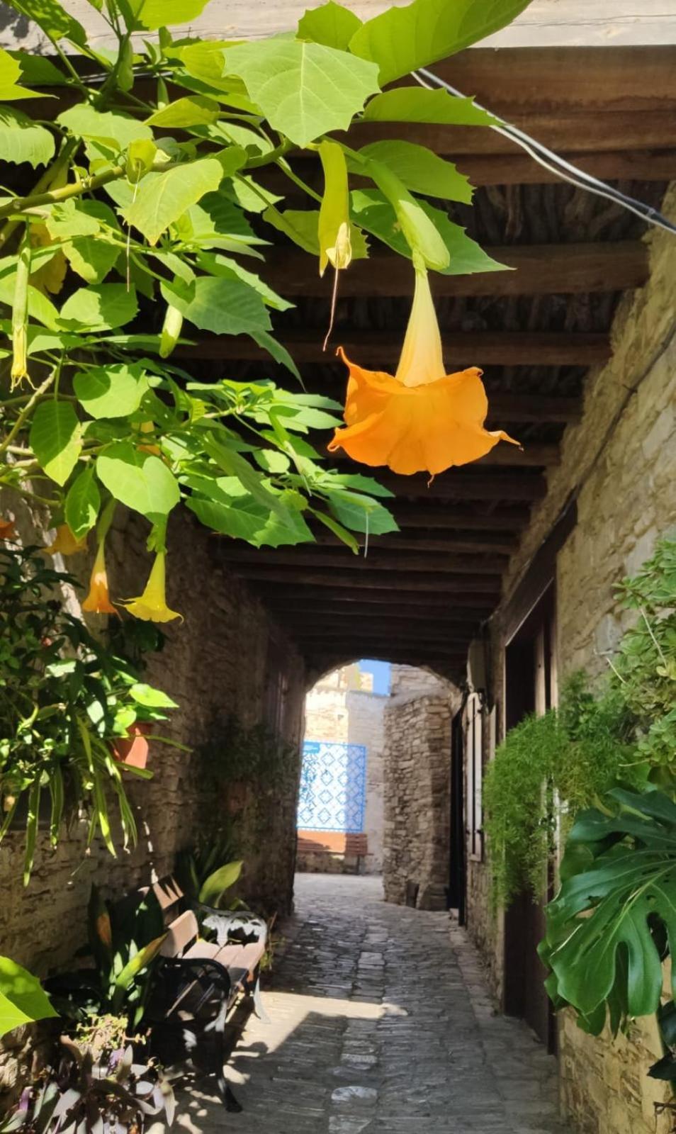 7kamares * Pano Lefkara