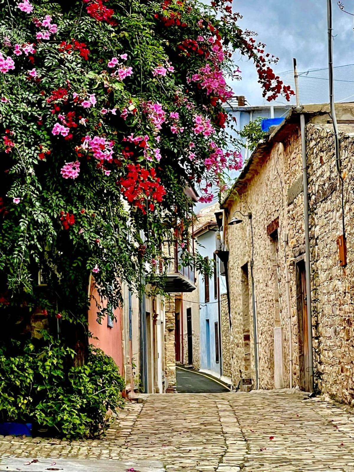 7kamares * Pano Lefkara